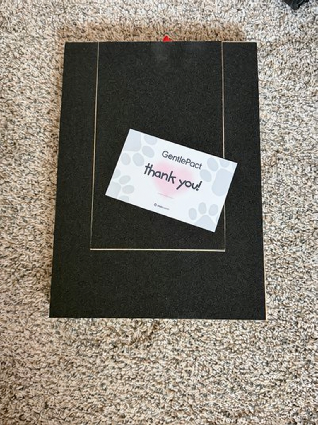 Branded customer photo from Stacy's GentlePact review